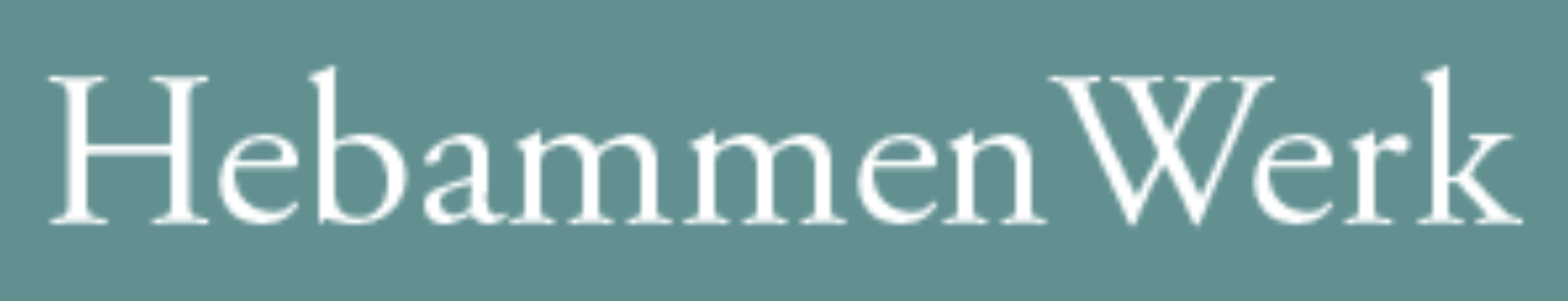 HebammenWerk